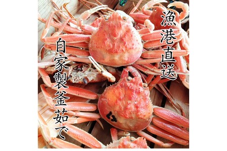 京丹後市より！香箱蟹の甲羅盛り（加工後 甲羅含む重さ約55g前後×5個）＜ カニ かに 蟹 カニ 松葉ガニ ズワイ ズワイガニ 海鮮 甲羅盛 甲羅盛り セイコガニ コッペガニ 香箱ガニ カニ味噌 内子