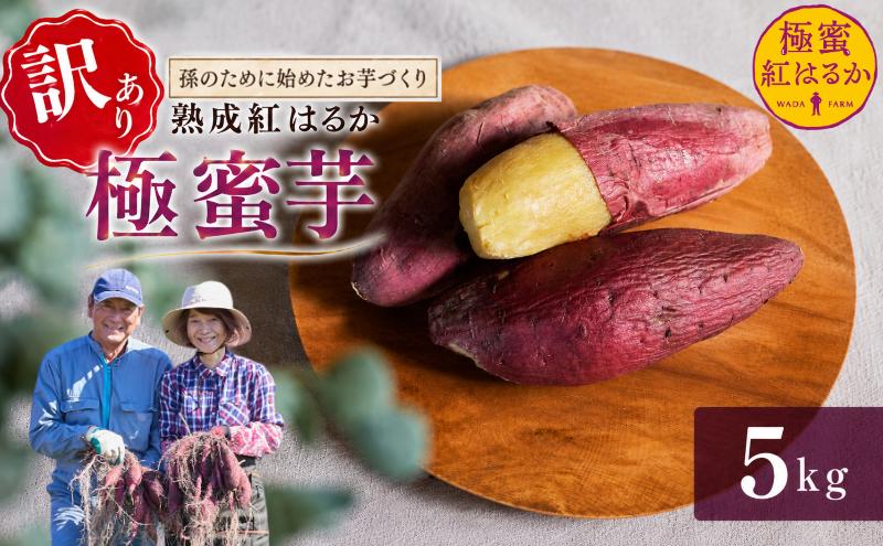【 冬季 限定 】 【 先行予約 】 【 訳あり 】 高知県産 熟成紅はるか 極蜜芋 5kg ｜ 紅はるか さつまいも 生芋 熟成芋 高知 焼き芋 やきいも おやつ 農家直送 産地直送 WADA FA