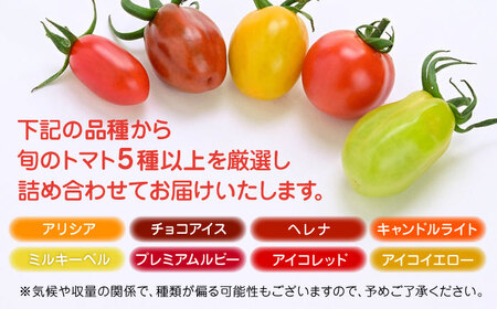 【全2回定期便】【期間限定】熊本県産 減農薬栽培 トマト ミディトマト 詰め合わせ 30個×2セット 計60個 食べ比べ ギフトセット 産地直送【矢仁田農園】[YDE015]