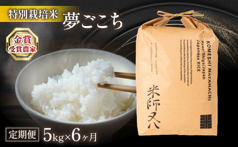 
                  米 定期便 夢ごこち 5kg × 6ヶ月 (令和7年産 2025年産 ブランド 米 rice 精米 白米 ご飯 内祝い 十六代目米師又八 謹製 もちもち 国産 送料無料 滋賀県 竜王 ふるさと納税 )
                