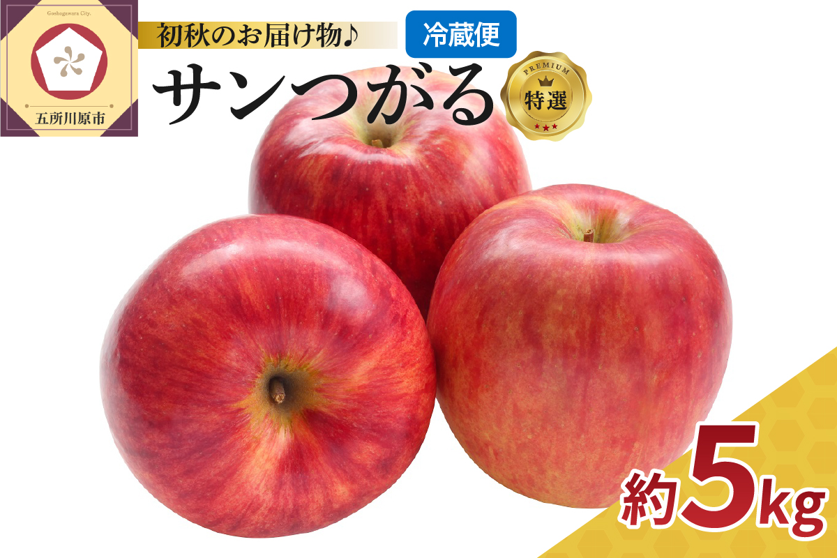 【9月発送】≪特選≫ りんご 5kg サンつがる 青森県産 【クール便 2026年】
