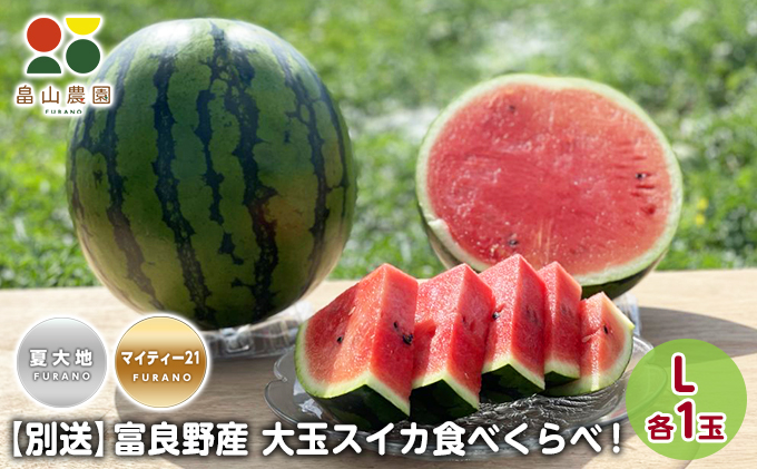 先行予約【食べ比べ】 富良野産 大玉 スイカ L 各1玉(夏大地・マイティ21) 北海道 ふらの すいか 西瓜 夏 フルーツ ふらの 甘い 糖度 大きい 大だま セット 別送  (畠山農園）