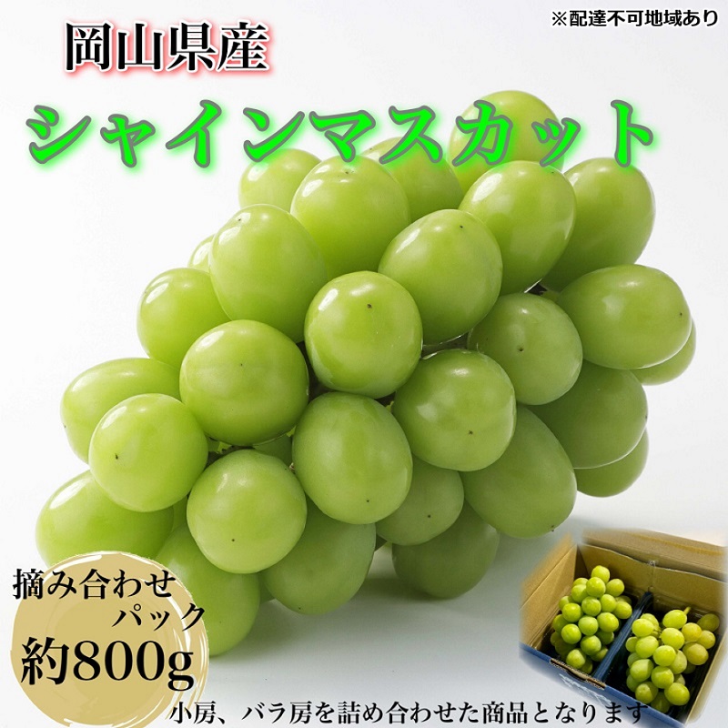 ぶどう 2025年 先行予約 【平均糖度20度】農家こだわりの シャインマスカット ご家庭用パック 合計約800g ブドウ 葡萄 岡山県産 国産 フルーツ 果物 ギフト 【 Nini farm 農家 直送 】