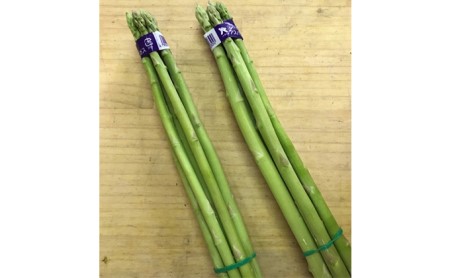 令和8年産　はなまる農園の乳酸菌入りアスパラ「さぬきのめざめ」少し訳あり 1kg（M～L） 野菜セット 野菜 アスパラガス 