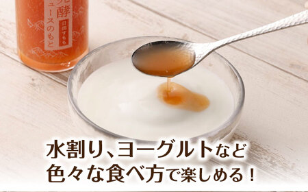 発酵ジュースのもと〈日田すもも〉 110ml×5本 ジュース すもも 果実飲料 [ARDA005]