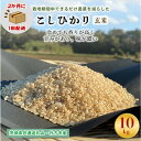 【ふるさと納税】【2ヵ月毎定期便】栽培期間中できるだけ農薬を減らすこしひかり玄米10kg茨城共通返礼品行方産全6回【4055839】