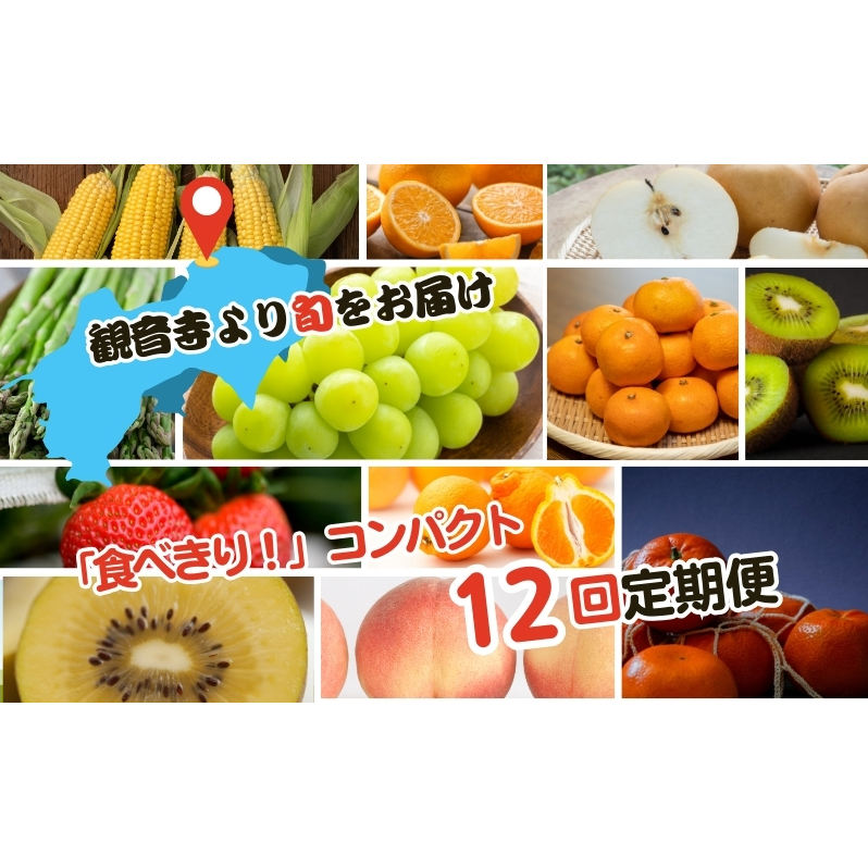 定期便　ご家庭用 食べきり 旬菜旬果フルーツ定期便 全12回　【さぬきひめ苺 約500g（約250g×2パック）、アスパラガス（さぬきのめざめ） 約800g（Lサイズ以上）、貯蔵甘夏柑　約3kg（2L～Mサイズ）、 スイートコーン約2kg（5～8本）、桃 約1.8kg（5～9玉）、梨 約2kg（5～8玉）、シャインマスカット 約550g、柿 約2kg（7～12玉）、温州みかん 約3kg（L～Sサイズ）】