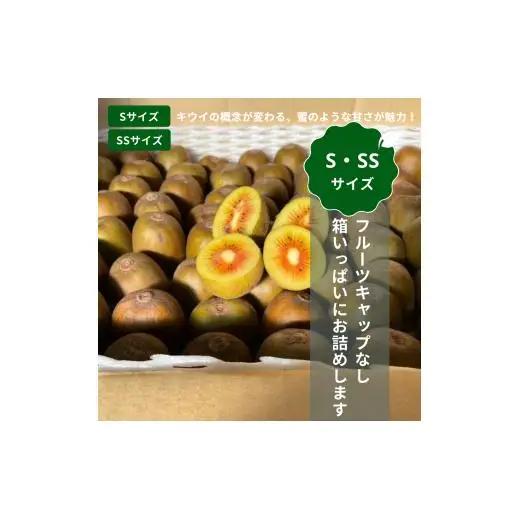【ぽぽ農園】【訳あり・ご自宅用】レインボーレッドキウイ（四国中央市産レインボーレッド） SS サイズ 約2kg（38個～44個）