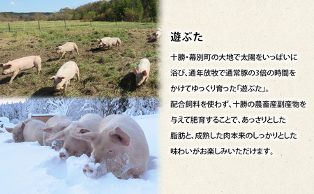 定期便 全3回 北海道十勝幕別のブランド放牧豚 食べ比べ 豪華満喫