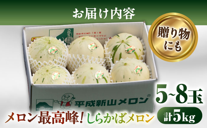 【2025年3月中旬~発送】【平成新山メロンPREMIUM（とみちゃん厳選）】しらかばメロン 約 5kg / メロン 南島原市 / うえだメロン園 [SAD002]