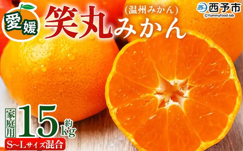 ＜愛媛県明浜産 笑丸みかん（温州みかん）約15kg S～L混合＞ 家庭用 訳あり ワケアリ 果物 くだもの フルーツ ミカン 柑橘 特産品 笑丸 愛媛県 西予市【常温】『2026年11月中旬～2027年1月上旬迄に順次出荷予定』AAN0027