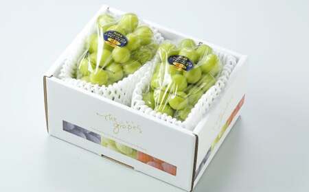 岡山県産 シャインマスカット 晴王 約1.2kg（約600g×2房） 果物 フルーツ くだもの ぶどう ブドウ 葡萄 マスカット 種なし 種無し 冷蔵 国産 奈義町 【2026年7月上旬～8月下旬発送