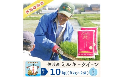 【6か月定期便】佐渡島産ミルキークイーン 無洗米10Kg 令和7年産 特別栽培米