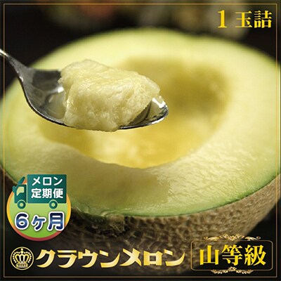 【毎月定期便】クラウンメロン (山等級) 1玉 静岡県産 高級 マスクメロン 【1年中お届け】全6回【配送不可地域：離島・北海道・沖縄県】