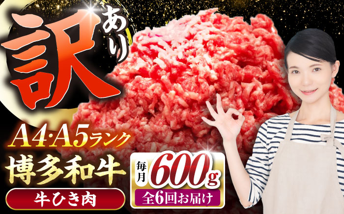 
                  【全6回定期便】【訳あり】 博多和牛 100％ ミンチ (挽肉) 600g（300g×2個）《豊前市》【株式会社木村食品】[VDZ094] 挽肉 牛肉 黒毛和牛 ハンバーグ 肉 挽き肉 ひき肉 牛ひき肉 牛ミンチ ミンチ肉 冷凍 6回
                