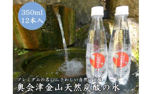 奥会津金山天然炭酸の水（350mlペットボトル）12本