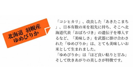 【2024年産】 北海道羽幌産 特別栽培米 ゆめぴりか10kg （5kg×2セット）