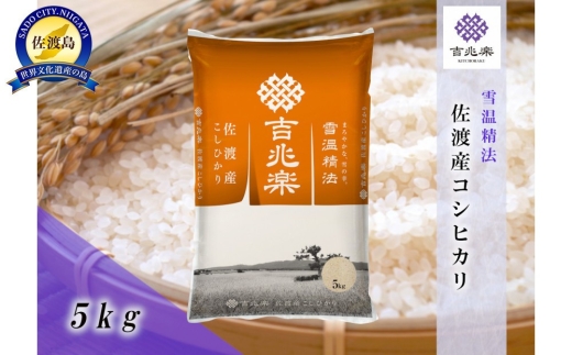【令和7年産】佐渡産こしひかり 精米5kg 雪温精法 雪蔵仕込み | 新潟県産コシヒカリ 新潟産コシヒカリ 新潟コシヒカリ 佐渡産コシヒカリ 新潟県産こしひかり 佐渡産こしひかり お米 米 こしひかり 白米 精米 ブランド米 おこめ コメ 5キロ 雪蔵 雪室 にいがた さど 新潟県 佐渡市