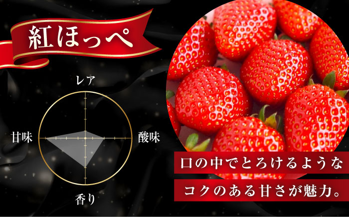 産地直送厳選「紅ほっぺ・かおり野」2パックセット（約300g）いちご イチゴ 苺 紅ほっぺ かおり野 ブランドイチゴ 人気 おすすめ ギフト　広島県福山市/びんごファーム [BAFY001]