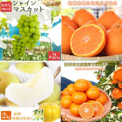 ふるさと納税 有田川町 【発送月固定定期便】紀州和歌山産旬のフルーツセット(シャイン・梨・みかん・不知火)全4回