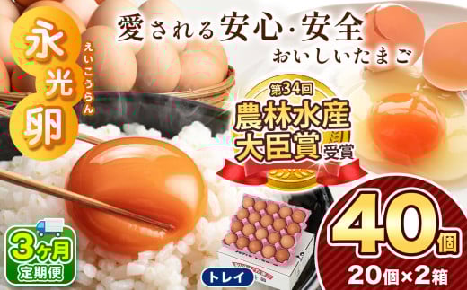 【 定期便 3回 】メディア紹介多数！ 永光卵 40個 卵 たまご 選べる 個数 回数 トレイ タイプ | 送料無料 えいこうらん 光永ファーム みつなが おいしい卵 プリン オムライス ゆうパック 君津市 きみつ 千葉県
