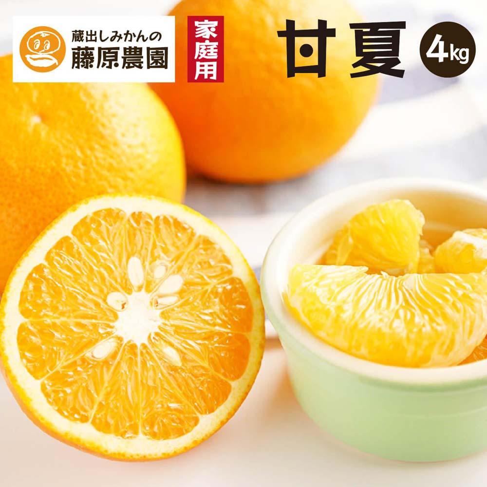 【ふるさと納税】甘夏｜和歌山県海南市から産地直送でお届け｜4kg｜ご家庭用【2027年4月より発送開始】 | フルーツ 果物 くだもの 食品 人気 おすすめ 送料無料