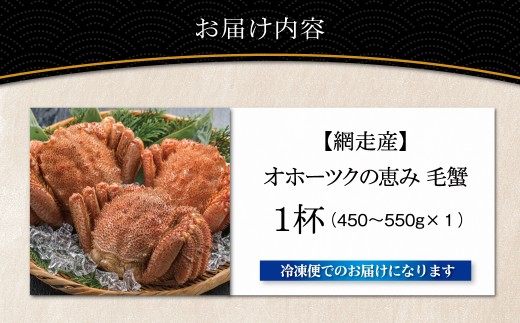 【網走産】オホーツクの恵み 毛蟹 450?550g × 1杯｜ボイル済み 冷凍 毛ガニ 北海道 【ふるさと納税 人気 おすすめ ランキング 毛蟹 毛ガニ 毛がに かに カニ 蟹 ボイル ボイル済み 冷