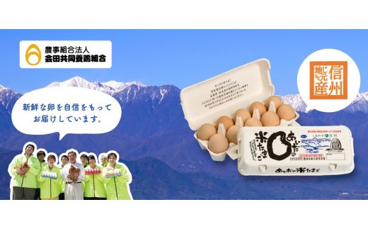 純国産鶏種、爽やかな高原の自然の風を取り入れ清らかな水で育った鶏卵