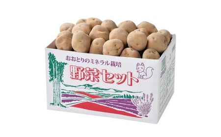 ≪令和７年産予約受付！≫おおとり　野菜の定期便（４回）アスパラ あすぱら とうもろこし とうきび じゃがいも 芋 イモ いも カボチャ 南瓜 旬 旬の野菜 定期配送[053-06]