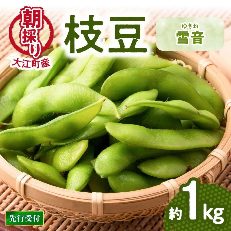《先行受付》枝豆（雪音）約1kg【2026年8月末より順次発送予定】 022-004