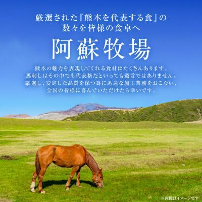 ふるさと納税 八代市 中トロ馬刺し300g 馬さし お肉 馬肉 刺身 刺し身 馬刺し 馬刺しブロック_289-6721 |  | 02