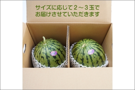 【0140-3】和歌山産小玉すいか ひとりじめ7(2～3玉)