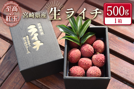 ＜限定100セット＞宮崎県産 生ライチ「至高の紅玉」500g【B321】