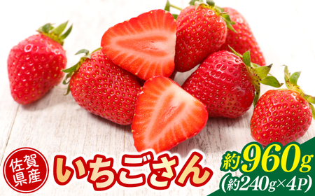 【先行予約】佐賀県産いちごさん 約960g（約240g×4パック） / いちご フルーツ 果物 / 佐賀県 / 佐嘉ZEYTAKUYA[41AQAA042]