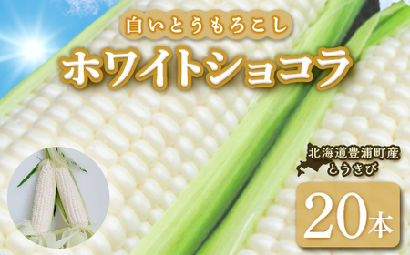 【2026年8月下旬以降順次発送】ホワイトショコラ　白いとうもろこし 20本 北海道 豊浦町産 とうきび  TYUH003