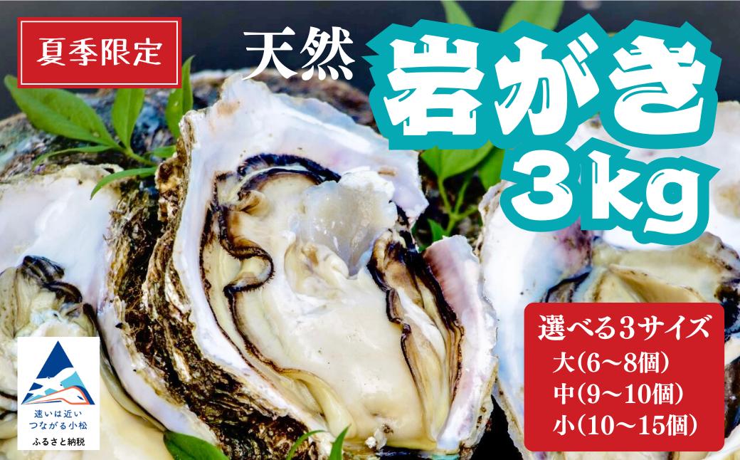 
            夏季限定！ 安宅産 天然 岩がき 選べる 3サイズ 小 (10～15個） / 中 （9～10個) / 大 (6～8個)  3kg 【石川県漁業協同組合小松支所】
          