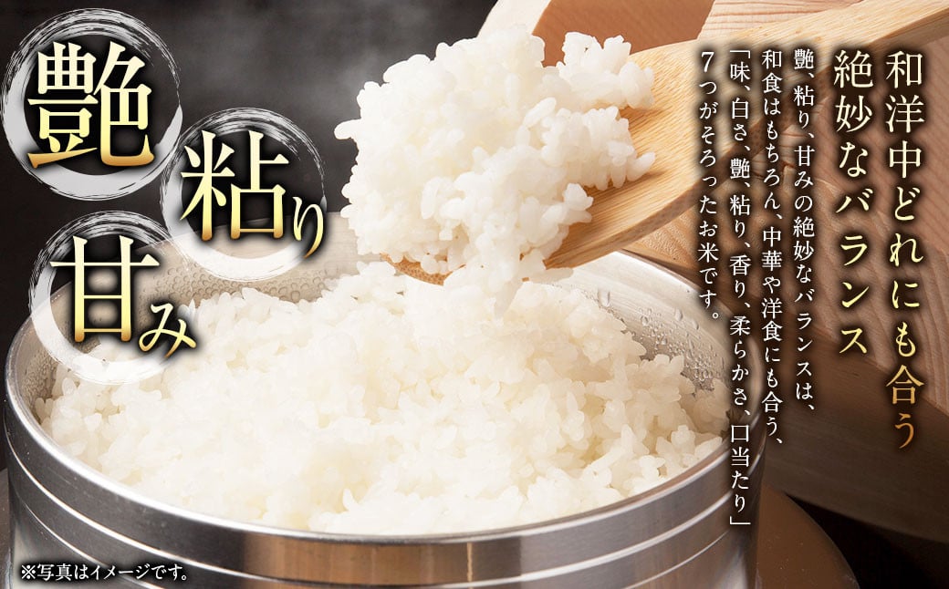 〈令和7年産〉浦臼産 ななつぼし 精白米 10kg （5kg×2袋） 