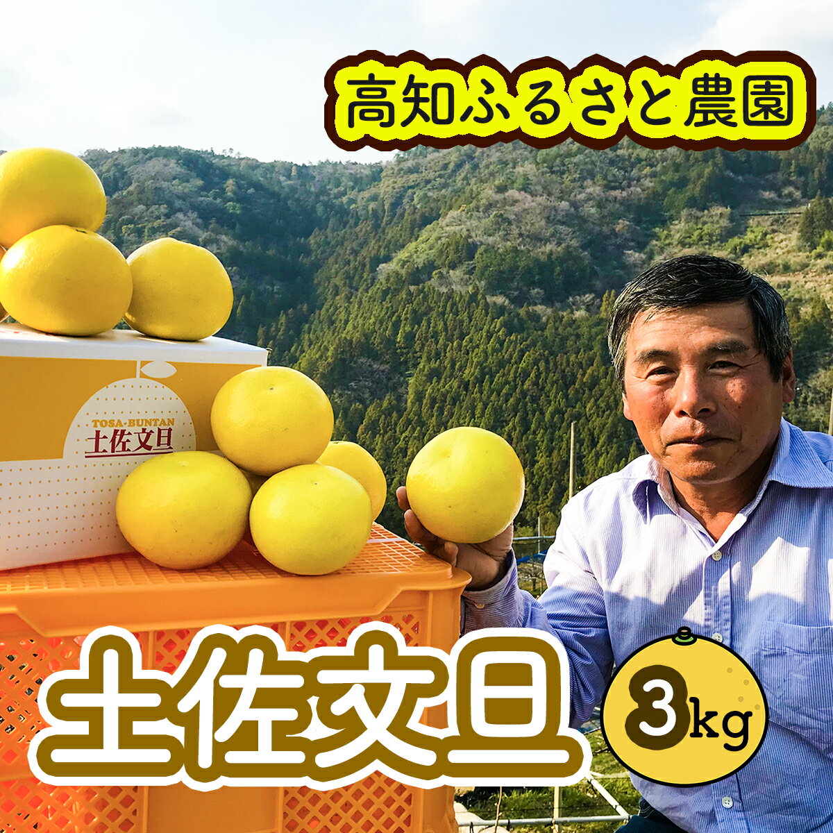 【ふるさと納税】土佐文旦贈答用約3kg（高知ふるさと農園）