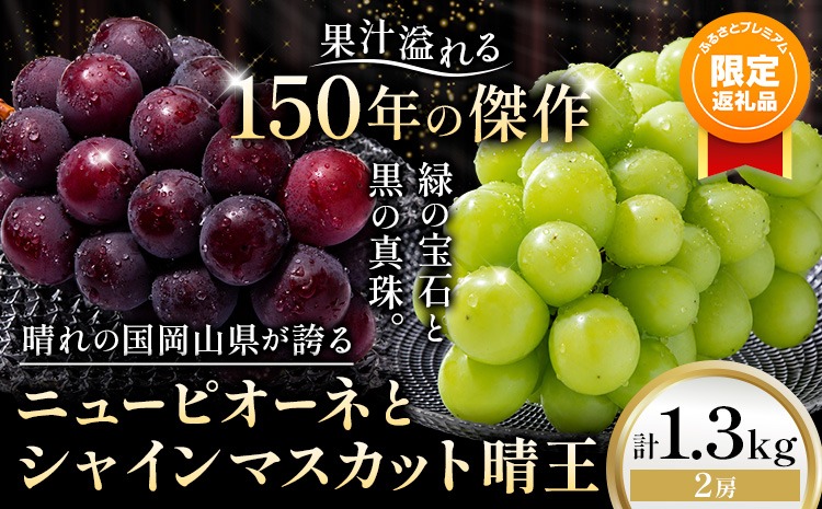 【ふるプレ限定品】 ニューピオーネ シャインマスカット「 晴王 」 詰め合わせ 1.3kg 各1房 約650g 《9月上旬-10月下旬頃発送》---yakage_loc_19_p---