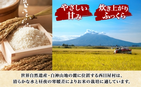 令和7年度産 新米 白神の里 西目屋村産 まっしぐら 白米5kg 白米 1袋5kg 青森ブランド米 米 お米 コメ こめ ご飯 ごはん 和食 炊き立て 国産 備蓄 送料無料 つややか 青森県 西目屋村