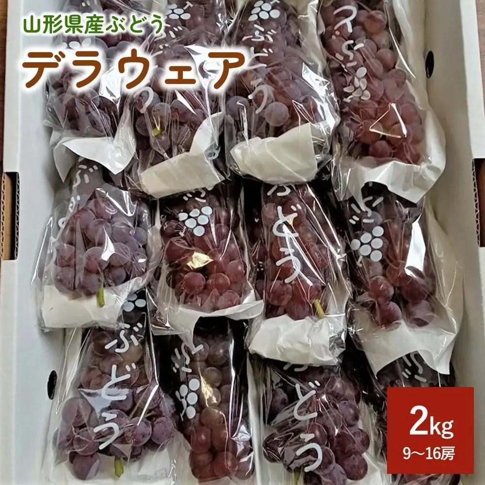 ぶどう（デラウェア）２ｋｇ　0142-2602