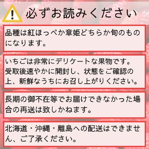 いちご (紅ほっぺ or 章姫) デラックスサイズ 400g以上