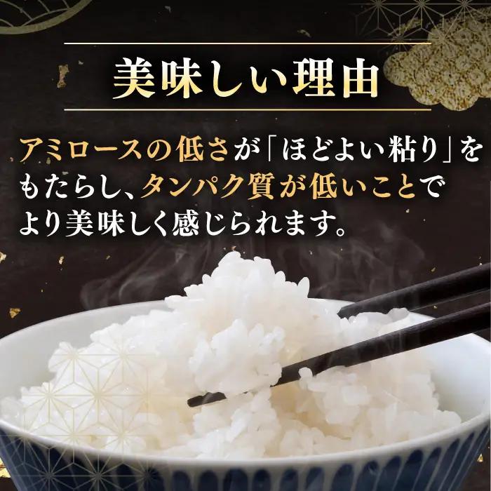 令和7年産 令和8年産 【全3回定期便】 ゆめぴりか 10kg 米 定期便 3カ月 連続 毎月 お米 白米 ご飯 ゆめぴりか 特A 10キロ 北海道 [AXAB065]