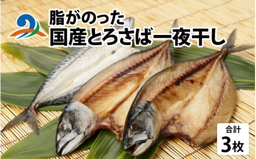脂がのった 国産 とろさば 一夜干し 3枚 ｜ 鯖 サバ とろ鯖 干物 冷凍 さへい 産地直送 河野 越前 福井 北陸 南越前町 おかず 夕食 さば