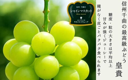 【2026年先行予約】シャインマスカット 露地栽培 秀品(特大粒) 4房入り(約1.6kg)| シャインマスカット