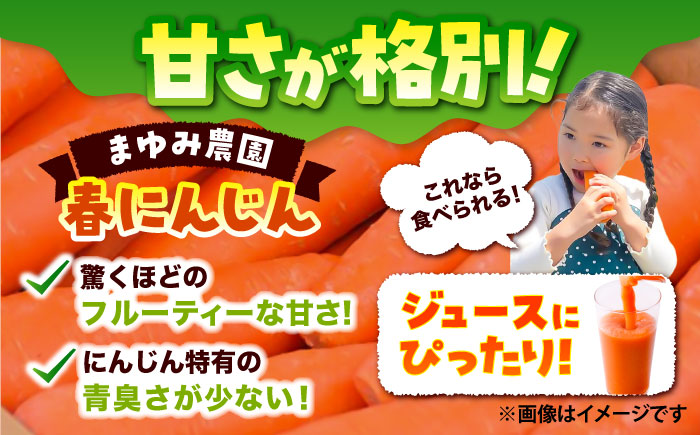 【先行予約】【4月中旬より順次発送】春にんじん10kg(訳あり) / ニンジン 規格外 ジュース 野菜 β-カロテン 食物繊維 抗酸化作用 栄養満点 熊本県産 菊陽町【株式会社 まゆみ農園】 [BHC