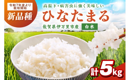 
                  【先行予約】令和8年産新米 伊万里産ひなたまる精米5kg 113-B1176
                
