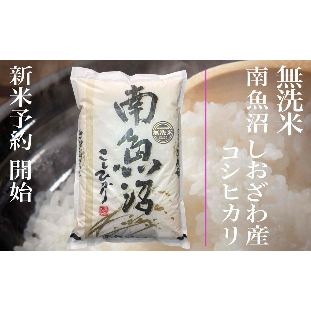 【ふるさと納税】【令和8年産　新米予約】定期便★6ヶ月【無洗米】10kg南魚沼しおざわ産コシヒカリ【2026年10月上旬から1ヶ月以内に順次発送予定】 | お米 こめ 白米 食品 人気 おすすめ 送料無料