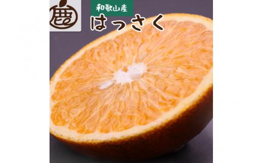＜先行予約＞家庭用はっさく5kg+250g（傷み補償分）【八朔みかん】＜1月より発送＞ ※北海道・沖縄・離島への配送不可【ikd140A】