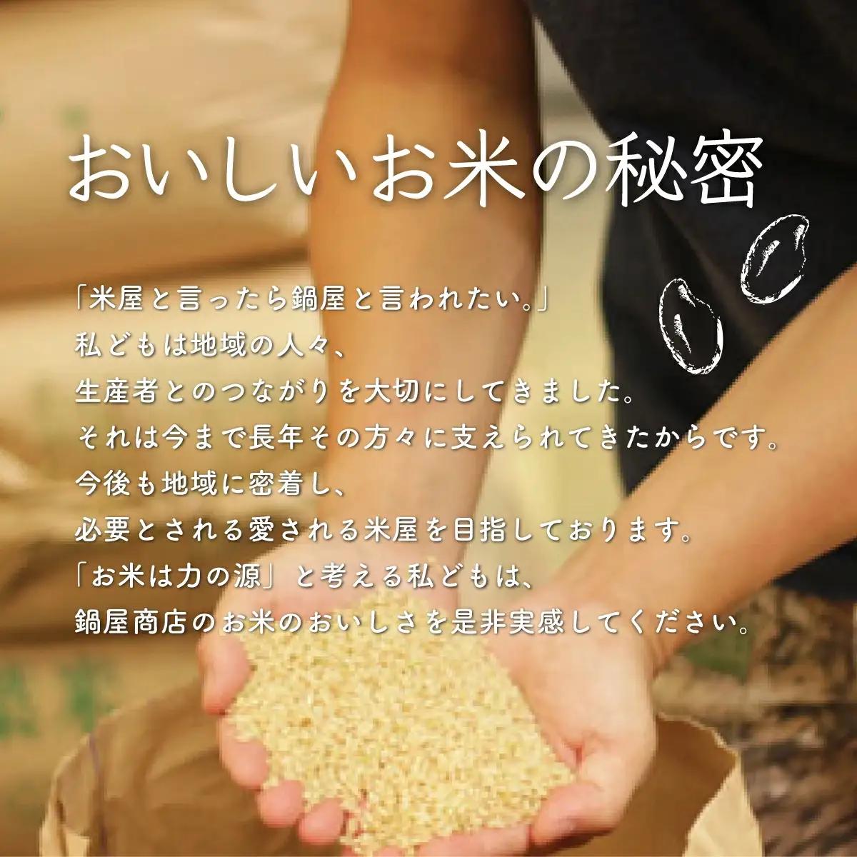 【最短2～7営業日出荷】令和7年産 千葉県産粒すけ 精米 10kg (5kg×2袋) / 粒すけ 千葉県産粒すけ E017